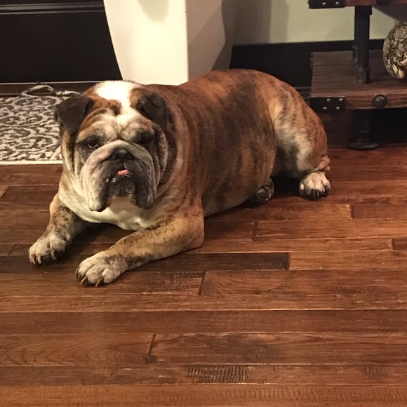 Meet your Posher, Bryanna - Picture 1 of 1